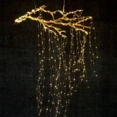 some lights that are hanging from a tree branch in the night time, with no leaves on it