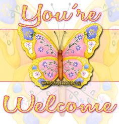 a colorful butterfly with the words you're welcome