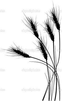 black and white silhouettes of tall grass on a white background stock photo - images