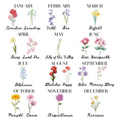 an image of flowers that are in different colors and font on a white background with the names