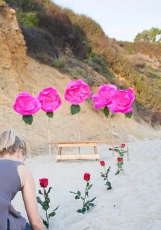 a woman sitting in the sand next to some pink flowers and a bench with roses on it