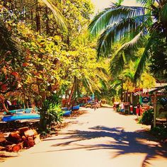 a street lined with palm trees and boats