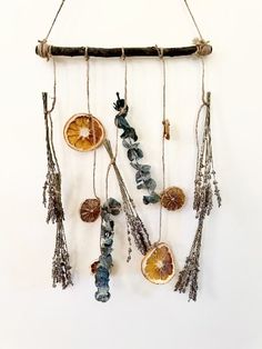 a wall hanging made out of dried fruit and branches with beads attached to the strings