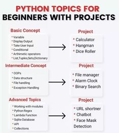 a diagram with the words python topics for beginners with projects in red and white
