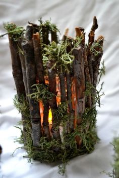 a candle holder made out of branches with moss growing on it and lit candles in the middle