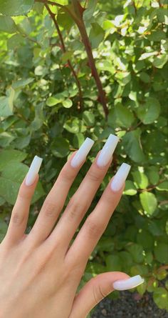 White long acrylic nails Long Square Acrylic Nails Milky White, Long Square Milky White Nails, Light White Acrylic Nails, Simple White Nails Coffin, White Acrylic Nails Coffin Glossy, Plain White Gel Nails, Plain White Coffin Acrylic Nails, White Nail Coffin Designs, Nails White Plain