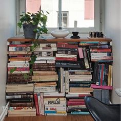 a book shelf filled with lots of books and a potted plant on top of it