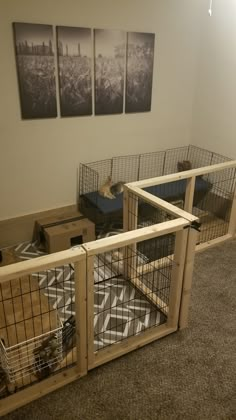 three cages are sitting on the floor in front of two pictures hanging on the wall