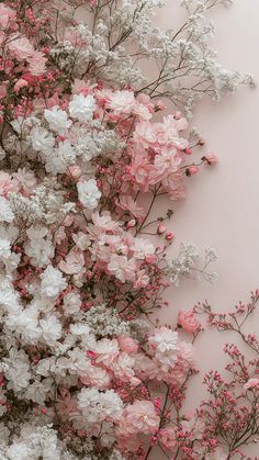 Soft Flowers Aesthetic, Cute Plain Wallpaper Iphone, Light Pink Background Aesthetic, Aesthetic Flowers Wallpaper, Flower Wallpaper Aesthetic, White Gypsophila, Plain Wallpaper Iphone, Gypsophila Flower, 4k Wallpaper Iphone