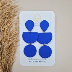 the blue earrings are on display next to some dried grass and a plant in front of it