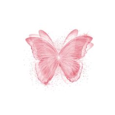 a pink butterfly on a white background