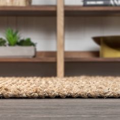 an area rug on the floor in front of a bookshelf and planter