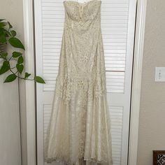 a white dress hanging on a door with a plant in the corner next to it