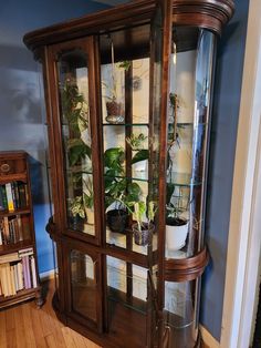 an old china cabinet with plants in it