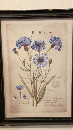 a blue flower is in a black frame on a white wall with writing below it