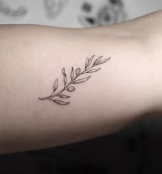 a woman's arm with an olive branch tattoo on the left side of her arm