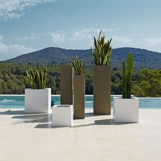 three planters sitting next to each other in front of a pool with mountains in the background