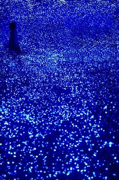 blue lights are shining on the ground