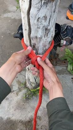 someone tying a red rope around a tree