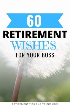 a dandelion with the words 60 retirement wishes for your boss