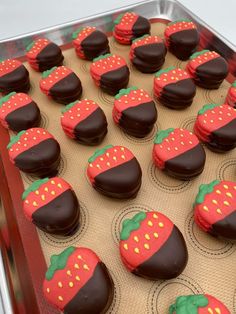 chocolate covered strawberries are arranged in rows on a baking tray, ready to be eaten