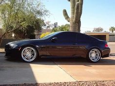 a black sports car parked in front of a cactus