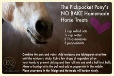 an advertisement for the pickpocke pony's no bake homemade horse treats