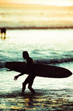 a man walking into the ocean with a surfboard in his hand and a horse in the background