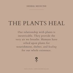 Natural Medicine Aesthetic, Herbs Quotes, Quotes About Herbs, Herbalist Quotes, Herbal Medicine Aesthetic, Plant Medicine Quotes, Herbal Quotes, Herbalism Quotes, Plants As Medicine