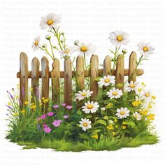 a painting of daisies and flowers behind a wooden fence with grass in the foreground