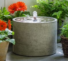 an outdoor fountain surrounded by potted plants