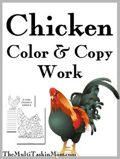 the book chicken color and copy work is shown with an image of a rooster on it