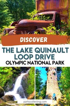 the lake quinault loop drive in olympic national park with text overlaying it