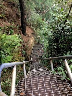 the stairs lead up to the top of the hill in the forest are covered with metal grates