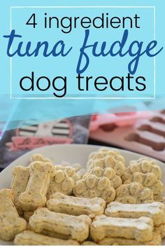 a plate full of dog treats with the words 4 ingredient tuna fudge dog treats