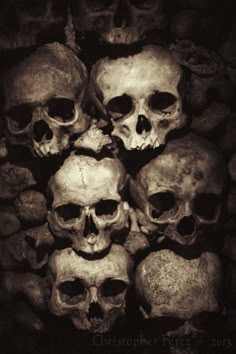 a pile of skulls sitting on top of each other