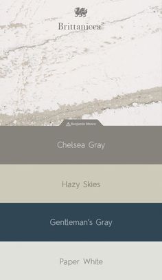 the color scheme for an interior paint swatch in shades of gray, white and grey