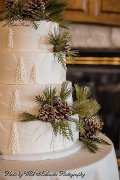 a wedding cake decorated with pine cones and evergreen needles