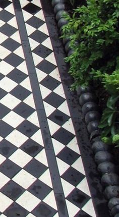 a black and white checkerboard floor next to green plants in a garden area