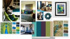 a collage of peacocks and colors in the bedroom, living room, dining room