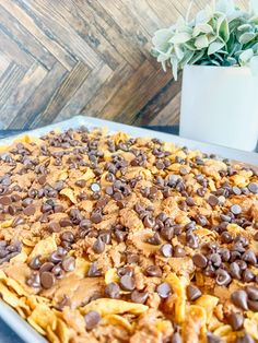 a dessert dish with chocolate chips and peanut butter on top, next to a potted plant