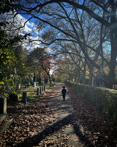 a person walking down a dirt road in the middle of a cemetery with trees and tombstones