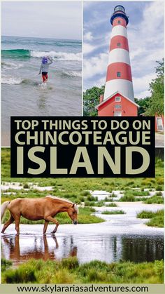 the top things to do on chincoteaue island