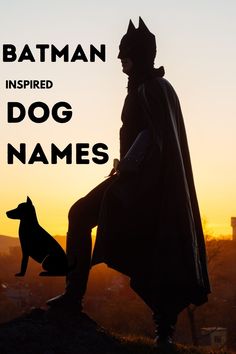 Batman and dog Batman Name, Batman Dog, Batman Cat, Batman Girl, Batman Inspired, Batman Theme, Villain Names, Superhero Names