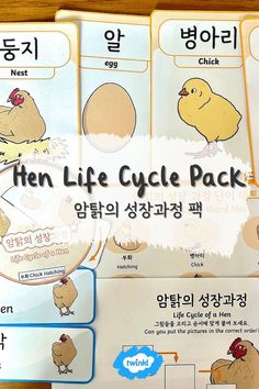 Use these lovely resources about life cycle of a chicken to teach your students. Life Cycle Of A Chicken, Egg Nest, Hens And Chicks, A Chicken, Life Cycle