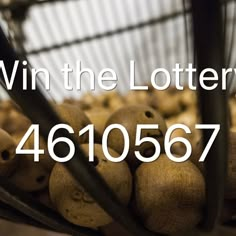 a basket full of nuts with the words win the lotter's 461067