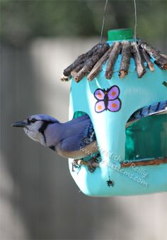 a blue bird sitting on top of a green bird feeder