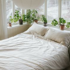 a bed sitting under a window next to two potted plants