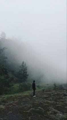 a person standing on a dirt road in the middle of a forest with fog and low hanging trees