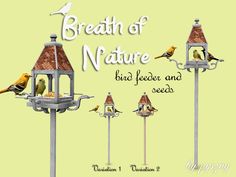 four bird feeders with birds perched on them and the words breath of nature written below